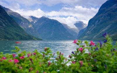 Floración de los Frutales en el Fiordo Hardanger: El Japón Nórdico